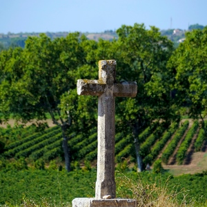 Croix en pierre devant des vignes et arbres - France  - collection de photos clin d'oeil, catégorie paysages